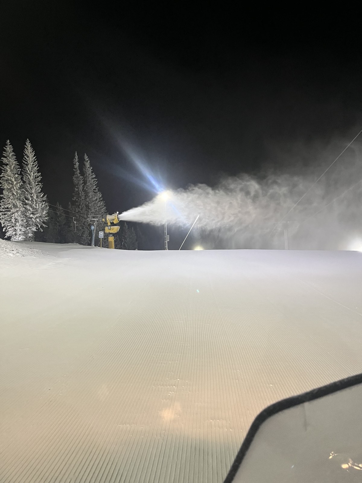 FOTO: USTUPLJENA FOTOGRAFIJA