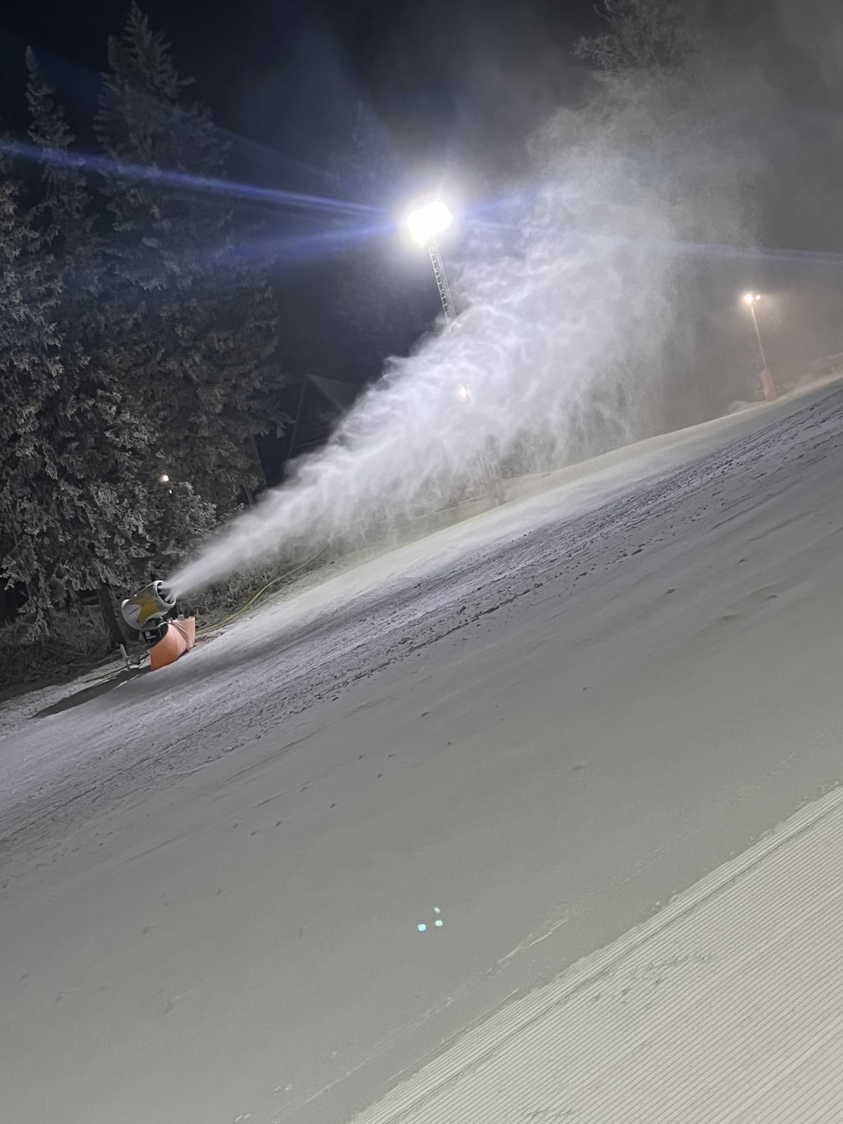 FOTO: USTUPLJENA FOTOGRAFIJA