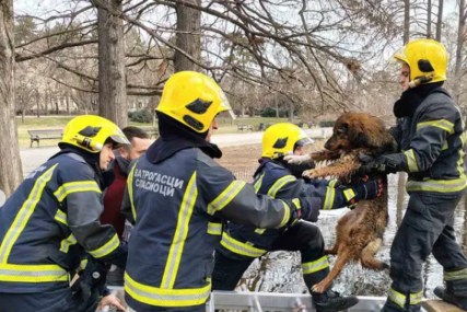 (FOTO) Bez oklijevanja krenuli u akciju: Vatrogasci spasli PSA IZ LEDENOG JEZERA i pokazali da su pravi HEROJI