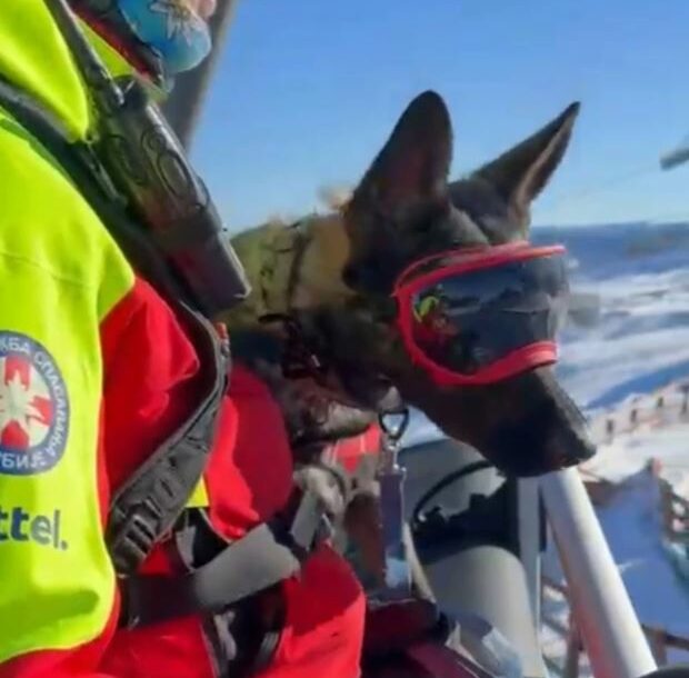 (FOTO) JUNAK POTRAGE ZA MALOM DUNJOM (2) Pas Gorske službe spasavanja pronašao djevojčicu