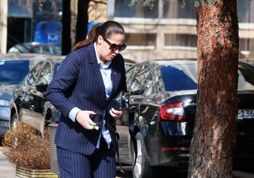 anja ljubojević potpredsjednik nsrs 