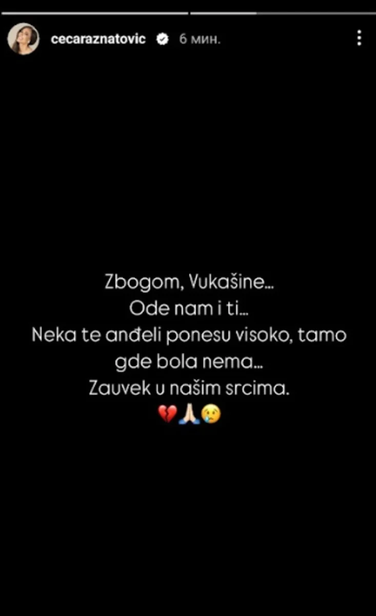 FOTO: CECARAZNATOVIC/INSTAGRAM/SCREENSHOT