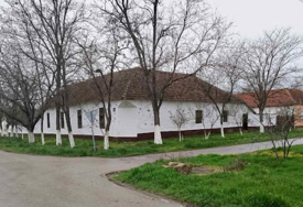 (FOTO) ZAKLALA MAJKU, PA IZAŠLA GOLA NA ULICU Detalji jezivog ubistva u Srbiji lede krv u žilama, komšije otkrile kako se ubica ponašala prije tragedije