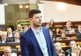GUBITNIK DANA Momčilo Antonić