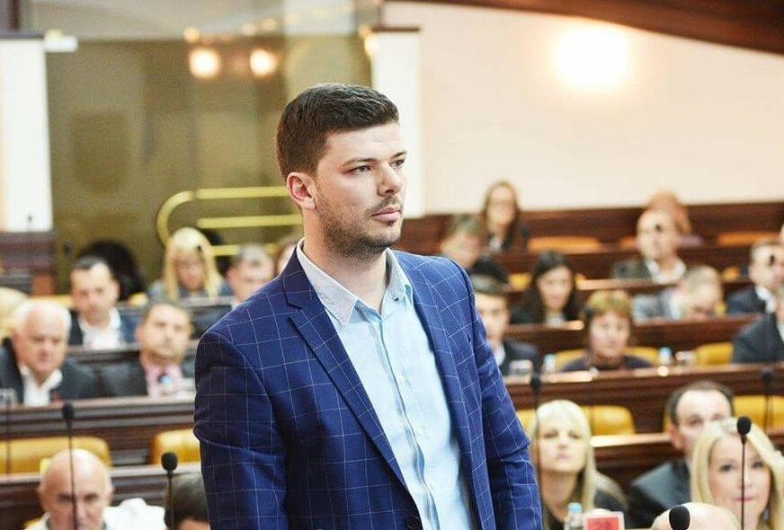 GUBITNIK DANA Momčilo Antonić