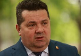 GUBITNIK DANA Nenad Stevandić