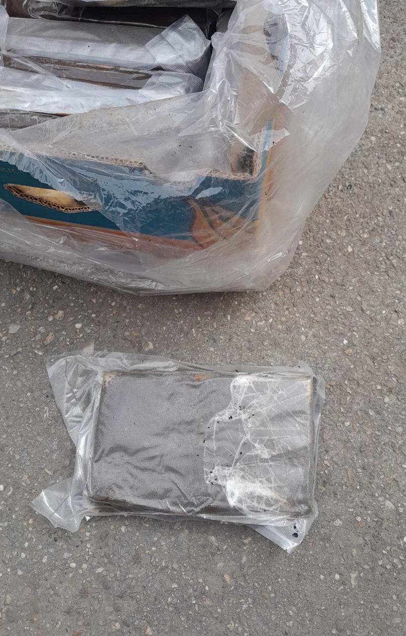 kokain zaplijenjen u novom sadu