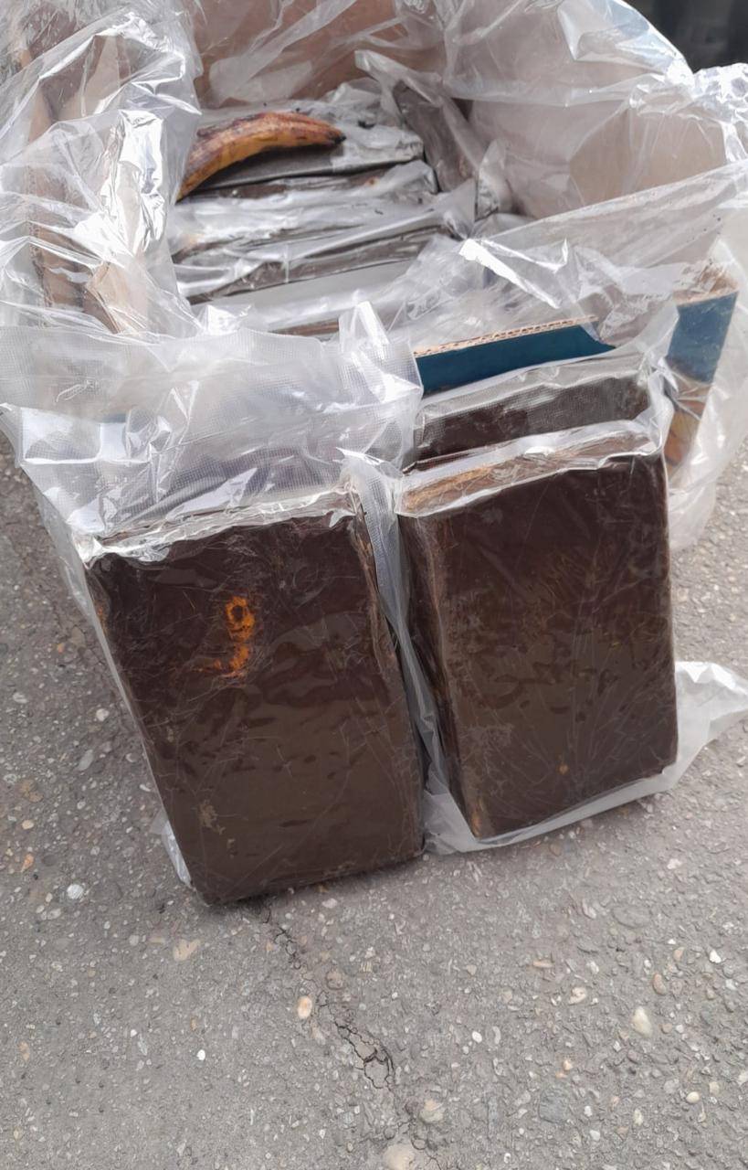 kokain zaplijenjen u novom sadu