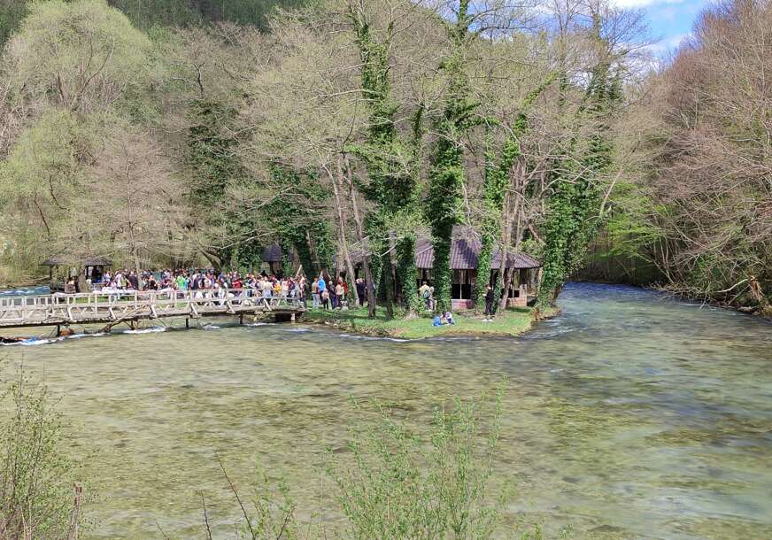 Protest Šipovo "Pliva teče, ne damo je"