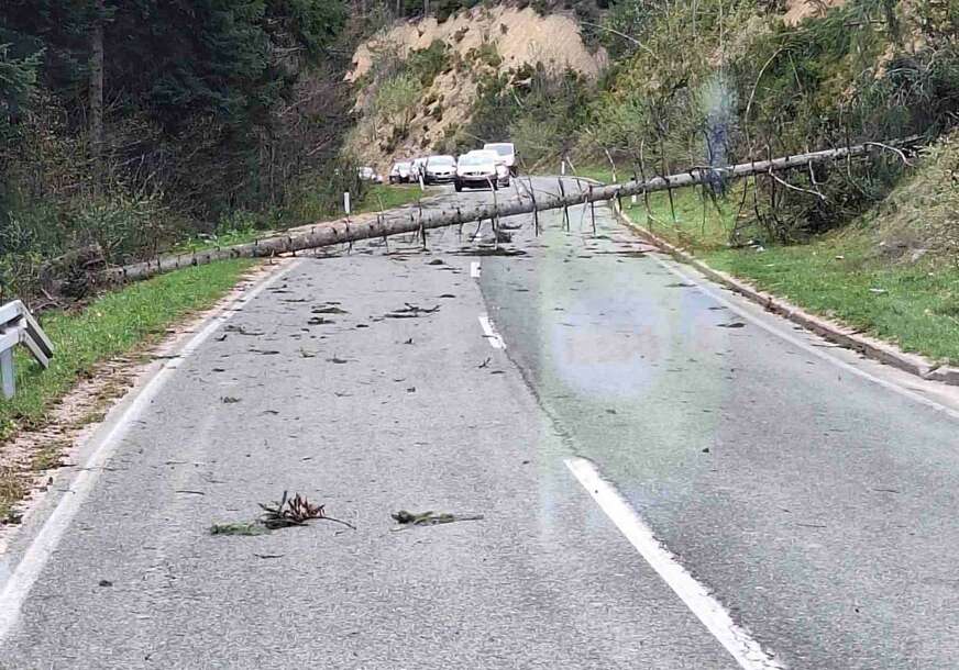 "Vjetar je opako zaljuljao auto, NIKAD OVO NISAM DOŽIVIO" Jak vjetar OBORIO STABLO na putu Banjaluka-Čađavica