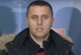 GUBITNIK DANA Radislav Gojković