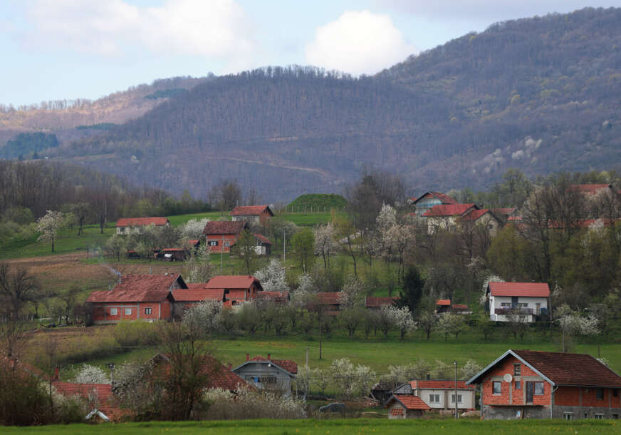ilustracija za selo 
