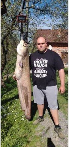 renato kukavica upecao soma na rijeci uni