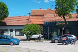 Automobil je udario u drvo