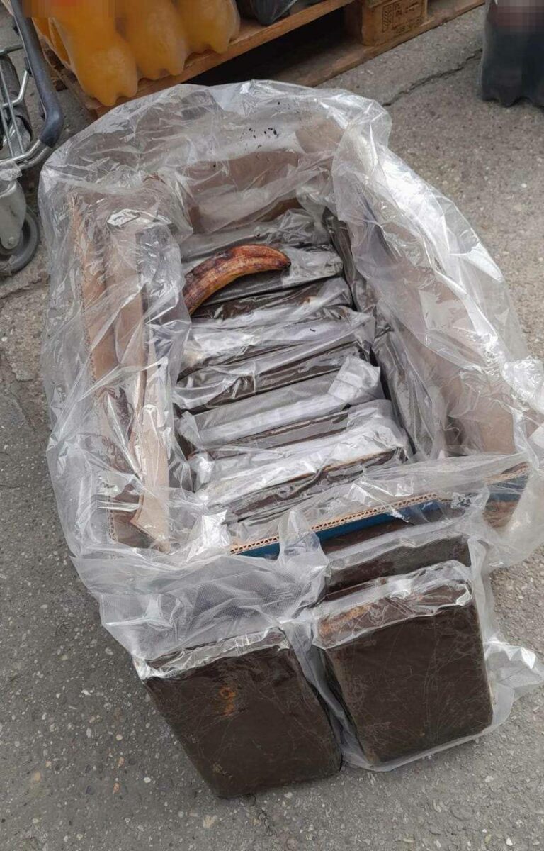 kokain zaplijenjen u novom sadu