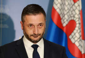 GUBITNIK DANA Ljubo Ninković