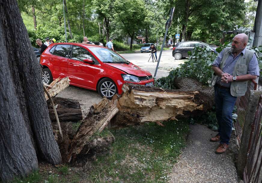 (VIDEO, FOTO) Drugi put u mjesec dana: Srušilo se drvo u Banjaluci, oštećen automobil