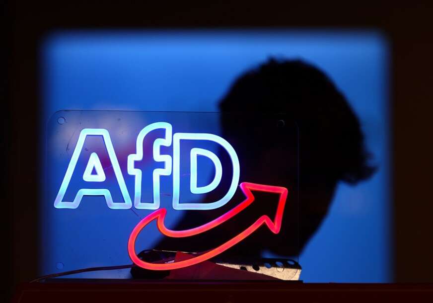 AfD, Stranka Alternativa za Njemačku
