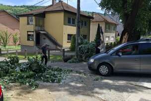 FOTO: MIOMOR JAKOVLJEVIĆ/RINGIER