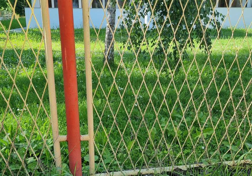 UKLONITE IH DOK NIJE KASNO Ovih 10 stvari iz dvorišta su mamac za zmije
