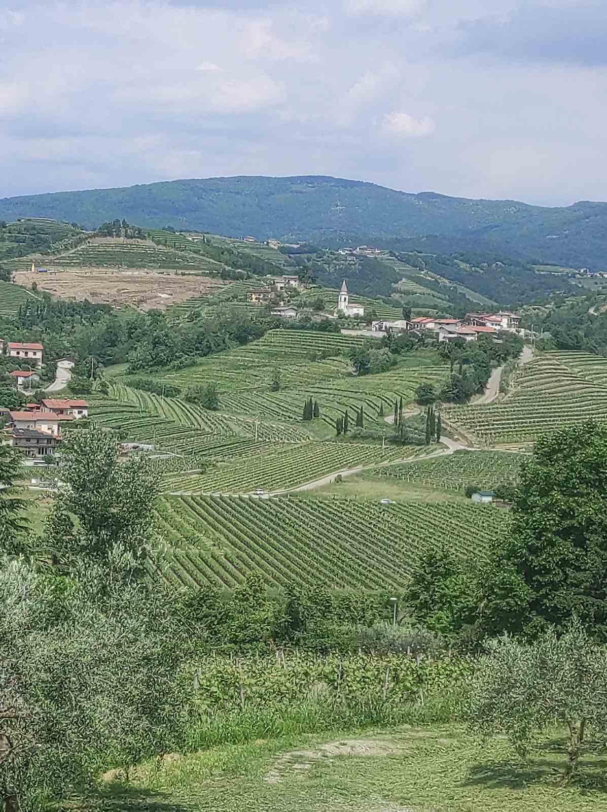 FOTO: MILKICA MILOJEVIĆ