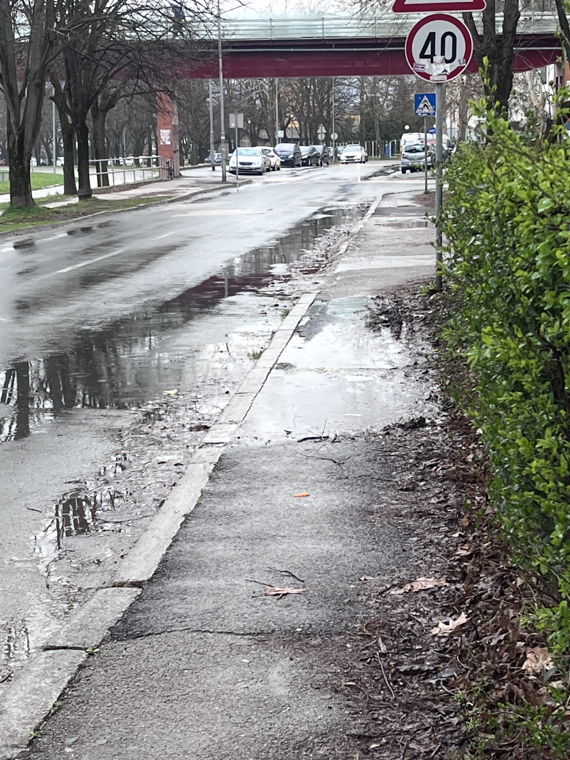 FOTO: USTUPLJENA FOTOGRAFIJA