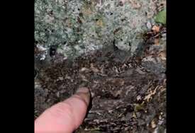 (VIDEO) Potekle SUZE Svetog Grigorija, imaju iscjeljujući dar: Kod manastira Gornjak ČUDO UOČI ĐURĐEVDANA