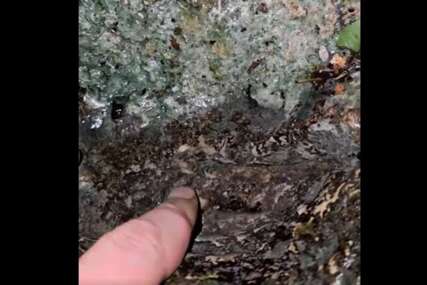 (VIDEO) Potekle SUZE Svetog Grigorija, imaju iscjeljujući dar: Kod manastira Gornjak ČUDO UOČI ĐURĐEVDANA