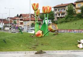(VIDEO, FOTO) Između uništenih tulipana OSTALA TABLICA: Vozač u pola noći "skočio" na kružni tok i uništio instalaciju