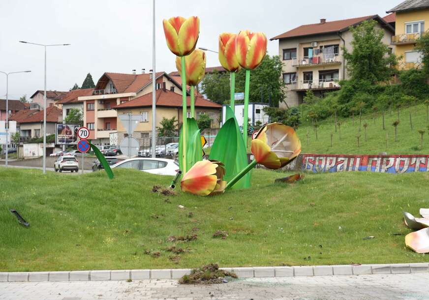 (VIDEO, FOTO) Između uništenih tulipana OSTALA TABLICA: Vozač u pola noći "skočio" na kružni tok i uništio instalaciju