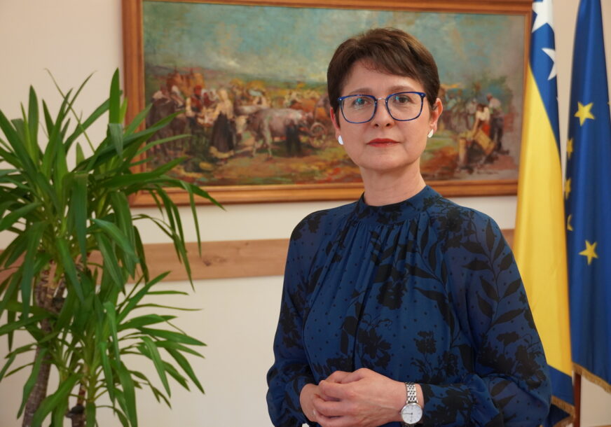 dr. Elvedina Žiga zavod za javno zdravstvo FBiH