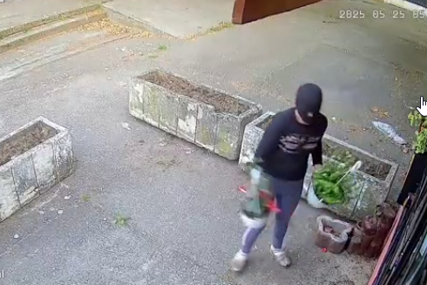 (VIDEO) "Moje su iz groba vadili" Žena s fantomkom uradila nešto neočekivano, kamere sve snimile