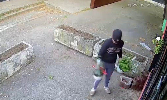 (VIDEO) "Moje su iz groba vadili" Žena s fantomkom uradila nešto neočekivano, kamere sve snimile