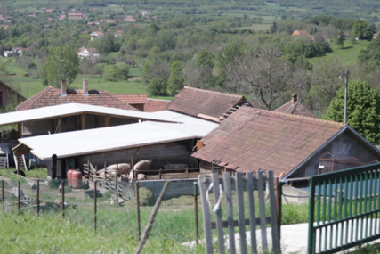 "Tetka je ušla i počela da DOZIVA POMOĆ" Potresni detalji nezapamćene tragedije koja je Topolu zavila u crno