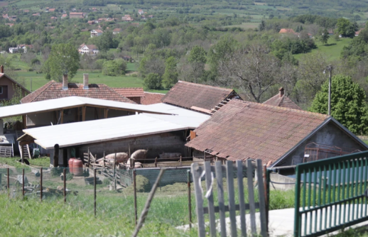 "Tetka je ušla i počela da DOZIVA POMOĆ" Potresni detalji nezapamćene tragedije koja je Topolu zavila u crno