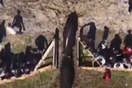 (VIDEO) DRAMA U BiH Tokom koride, bikovi POBJEGLI U PUBLIKU, nastao opšti haos