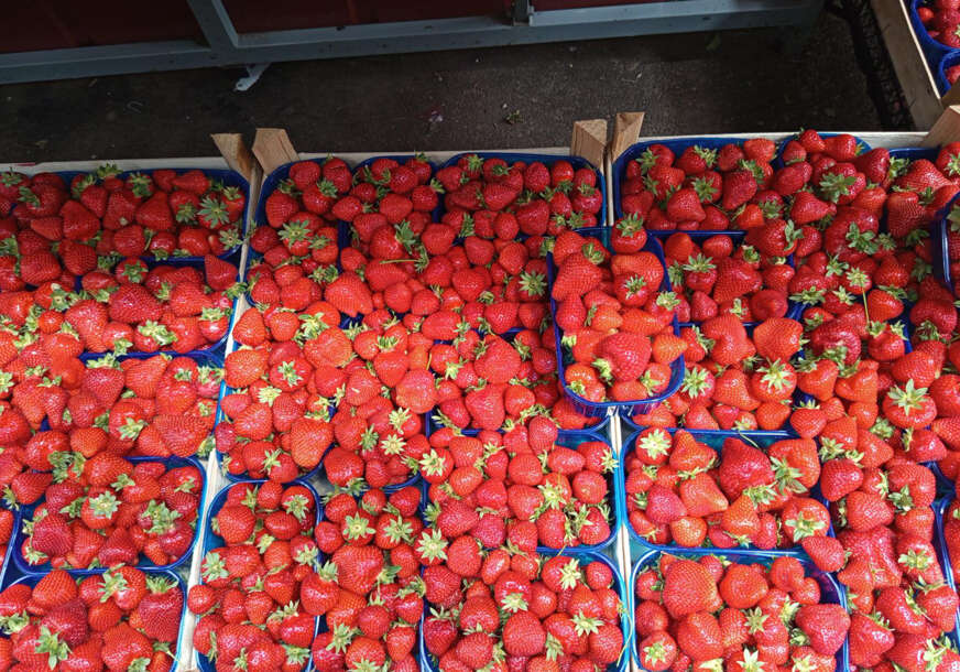 jagode na tržnici u banjaluci 