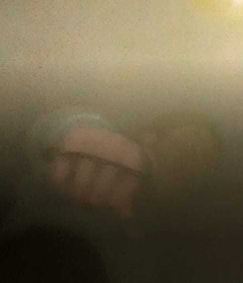 FOTO: