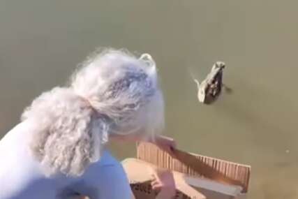 (VIDEO) "SVAKA ČAST LJUDINO" Spasio 7 pačića od opasnih vrana, pa ih vratio majci