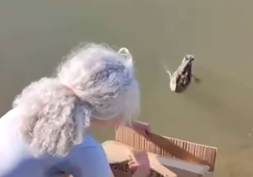 (VIDEO) "SVAKA ČAST LJUDINO" Spasio 7 pačića od opasnih vrana, pa ih vratio majci