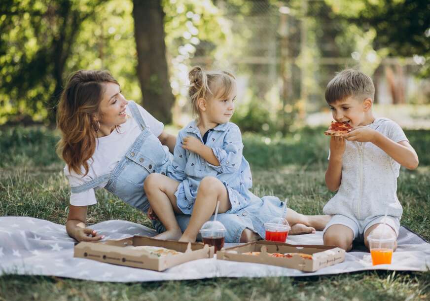 Porodica na pikniku