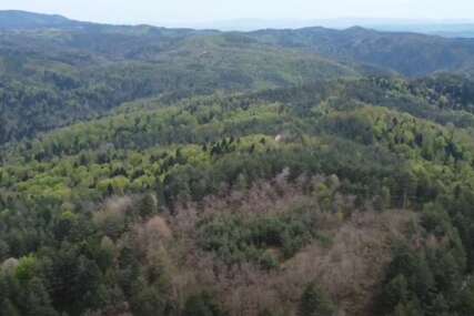 planina Ozren