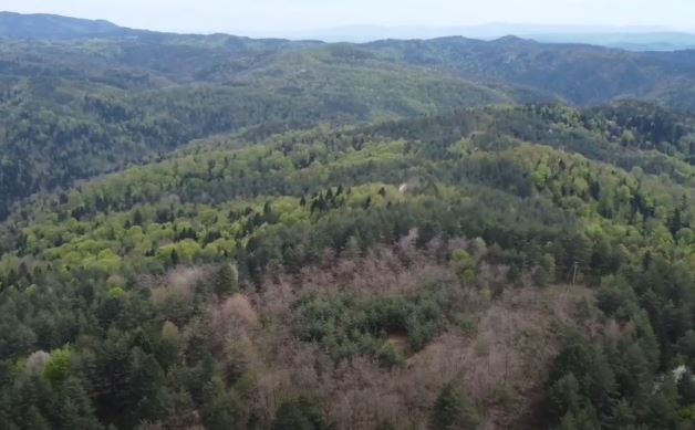 planina Ozren