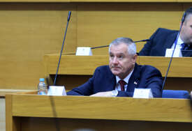 GUBITNIK DANA Radovan Višković