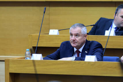 radovan višković