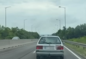 (VIDEO) Ovo ima samo kod nas: Muškarac na brzoj cesti kod Banjaluke u automobilu VOZIO KOZU "Stajala je na suvozačevom mjestu i mirno promatrala"