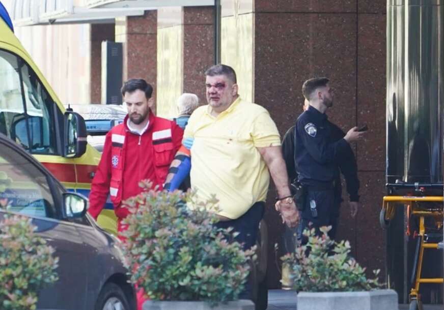 FOTO: NIKOLA ANĐIĆ/TELEGRAF / USTUPLJENE FOTOGRAFIJE