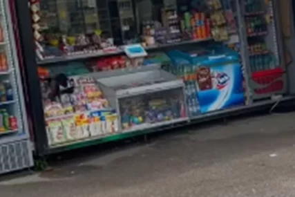 (VIDEO) KOMENTARI SE SAMO NIŽU Vrana "ukrala" smoki na trafici i pokušala da ga otvori
