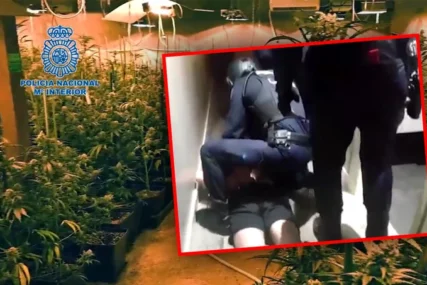 Jovan Marjanović (29) UHAPŠEN U ŠPANIJI: Raspisana crvena Interpolova potjernica zbog ozbiljnih optužbi
