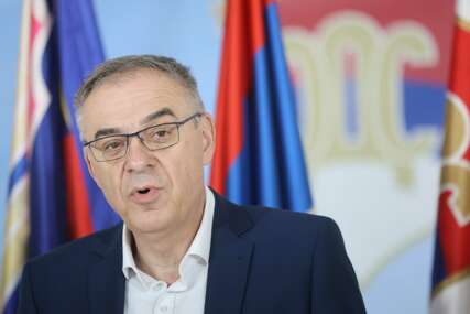 "Dok su pričali o nezavisnosti, prihvatali su centralizaciju" Miličević protiv raspakivanja Dejtonskog mirovnog sporazuma, PROZVAO DODIKA I SNSD